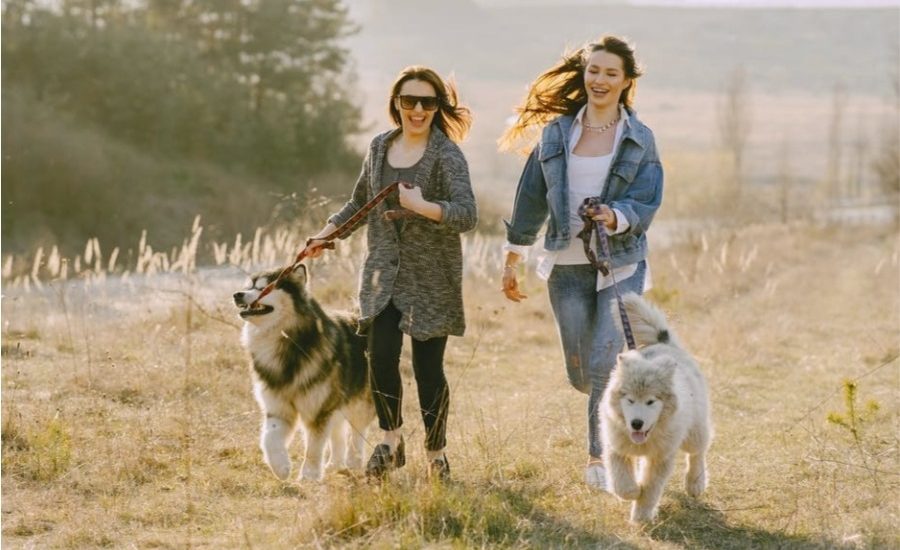 planes para hacer con tu mejor amiga