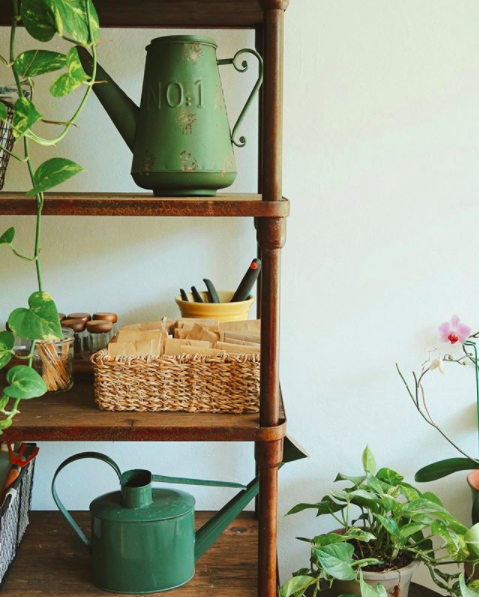 chicas obsionadas con las plantas