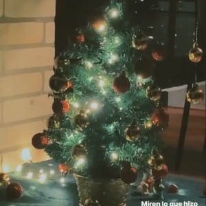 Evaluna navidad