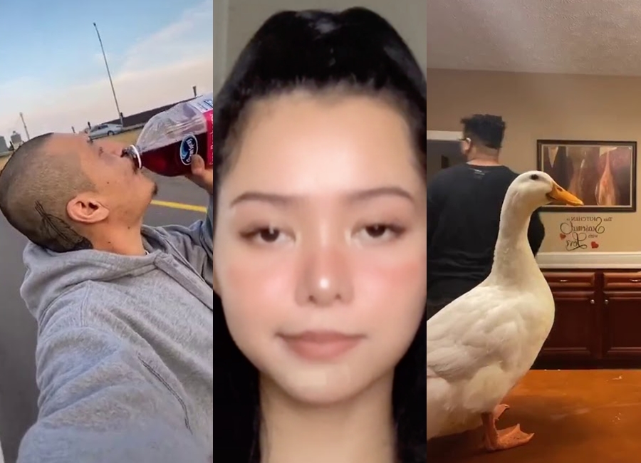 Checa los 10 videos más virales de TikTok este 2020 Tú en línea