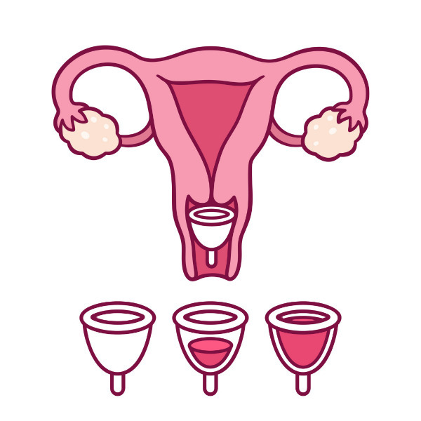 Cómo funciona la copa menstrual