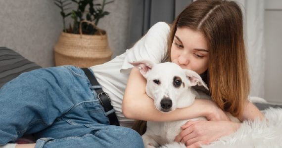mascota número día internacional del perro beneficios de tener un perro en casa